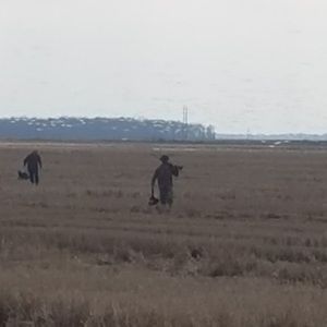 Meet your Posher, Tak